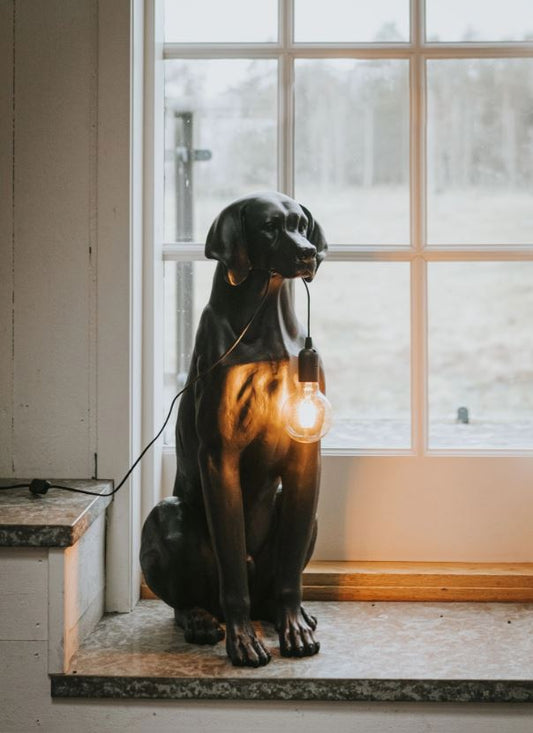 Bordslampa Hund XL Svart 85 cm