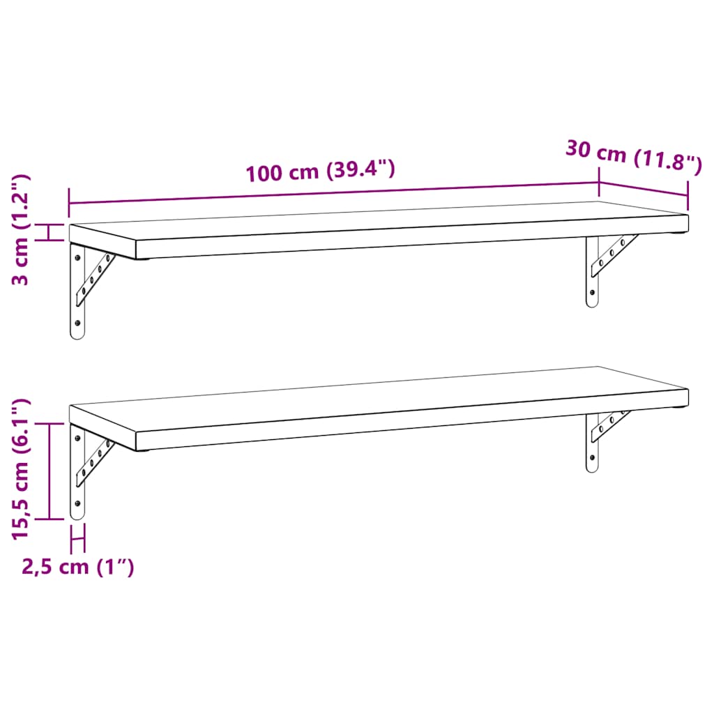 Vägghylla DIV. 2 st 100x30 cm silver rostfritt stål