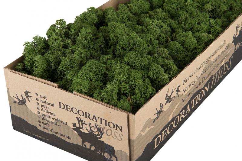 Juldekoration Inomhus Mossa Vitmossa BÄSTA PRIS Flamsäker Mörkgrön 500g