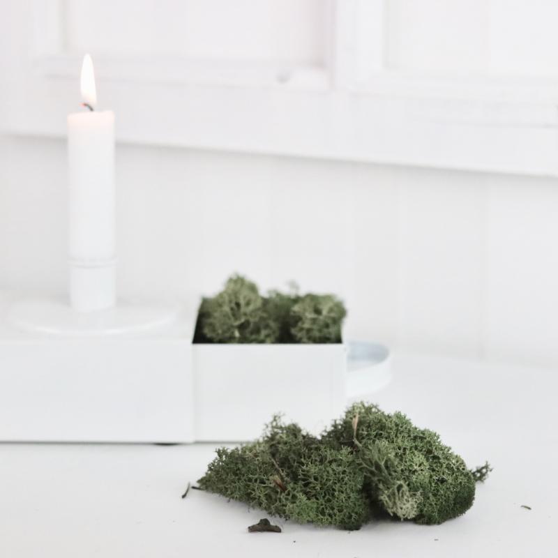 Juldekoration Inomhus Mossa Vitmossa Flamsäker Mörkgrön 500g