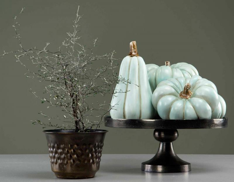 Dekoration Pumpa Minty Avlång Poly 20cm 2-pack