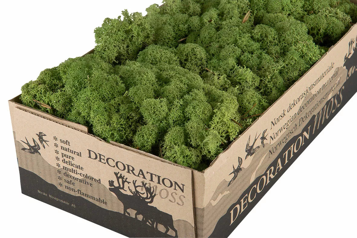 Juldekoration Inomhus Mossa Vitmossa Flamsäker Grön 500g