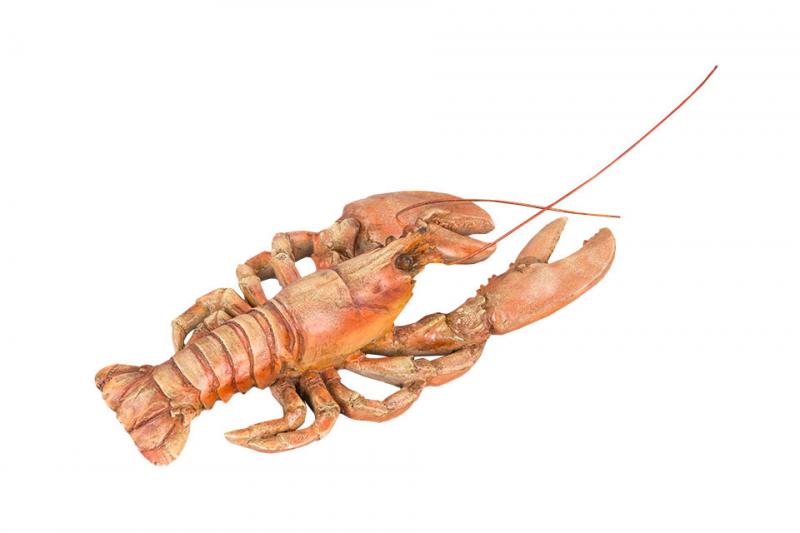 Dekoration Kräfta Poly 43x14x7,5cm