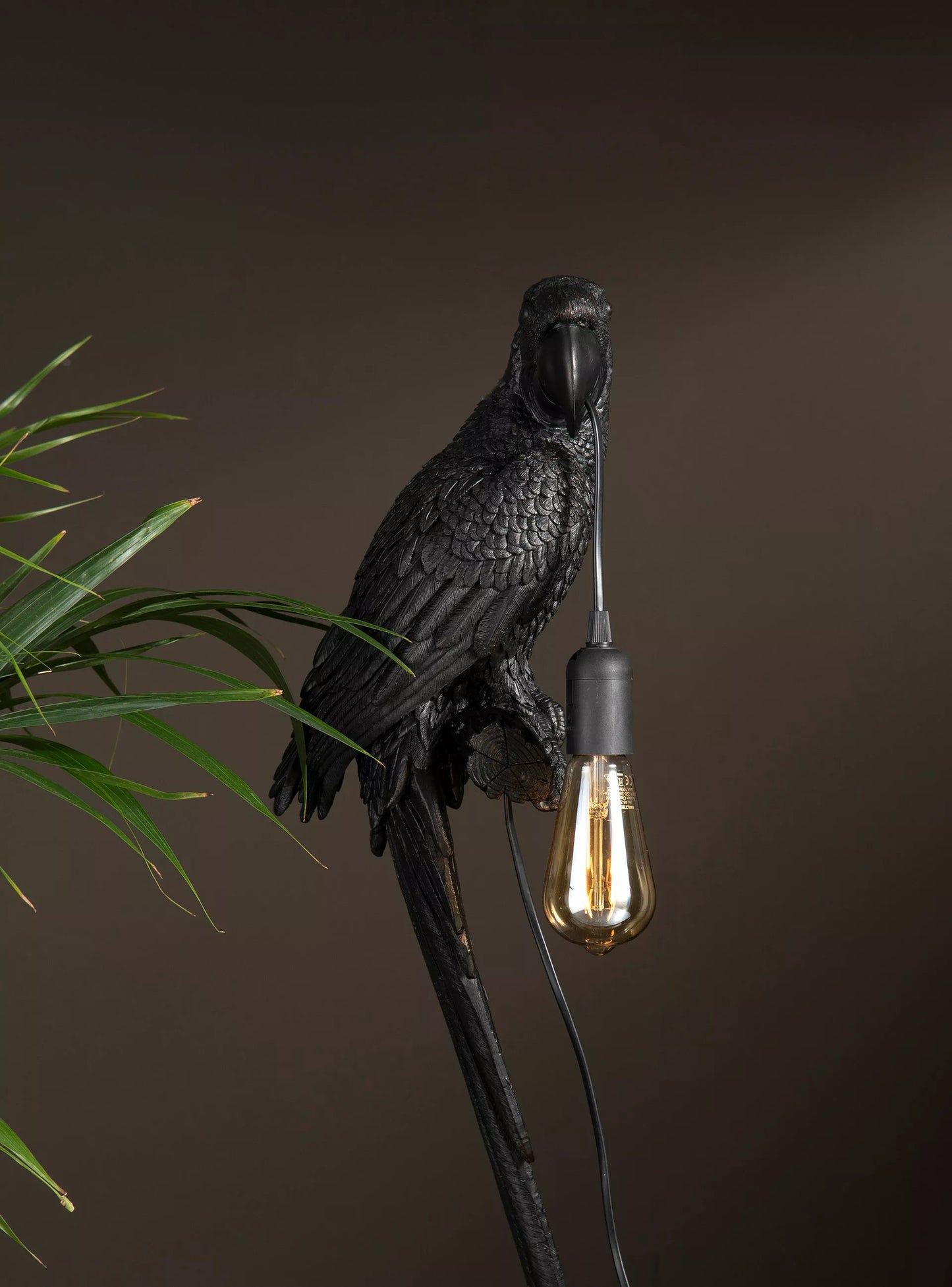 Vägglampa Papegoja Brun Svart Poly