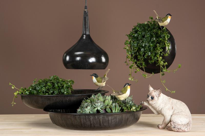 Dekoration Djur Katt Polyresin 22x13,5x19cm