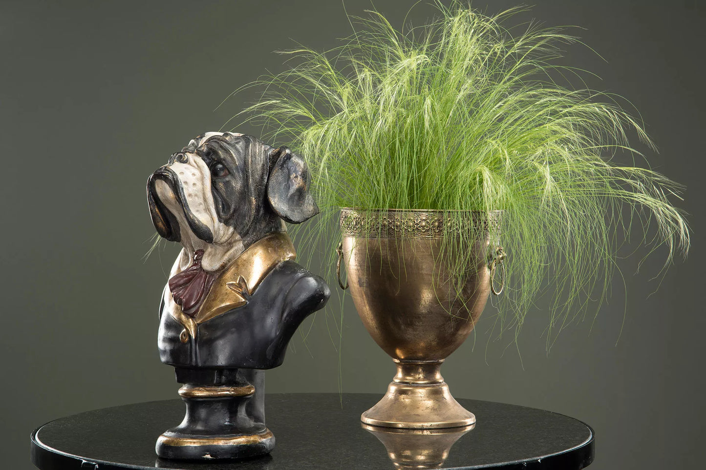 Dekoration Djur Byst Bulldog Mr Big Poly 37x27x52cm