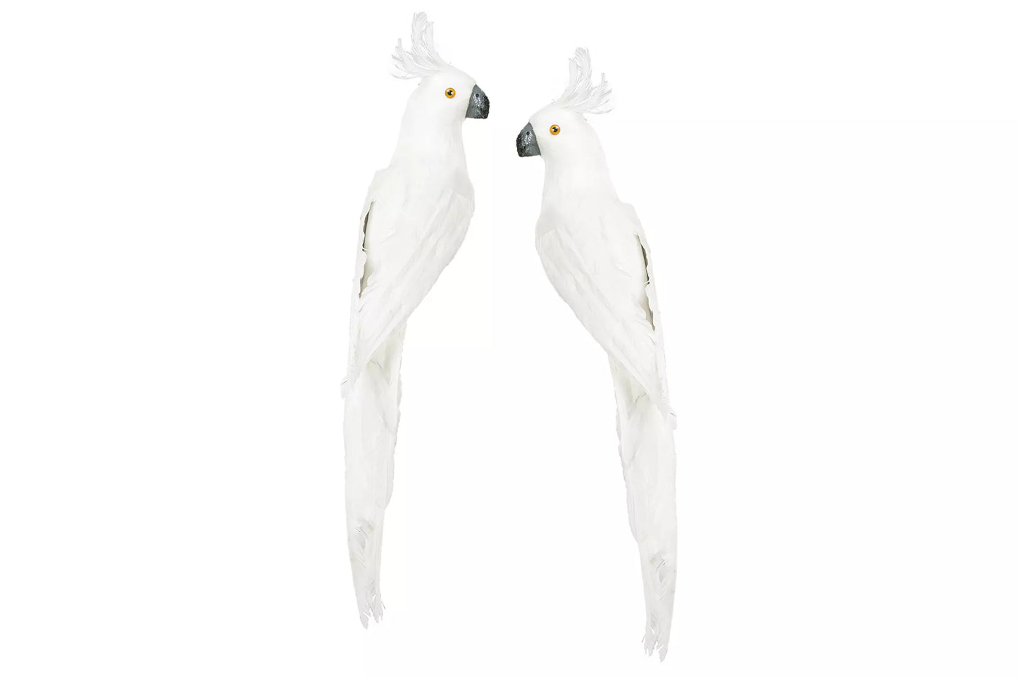 Dekoration Fågeldekoration Papegoja Vit Sida 50cm