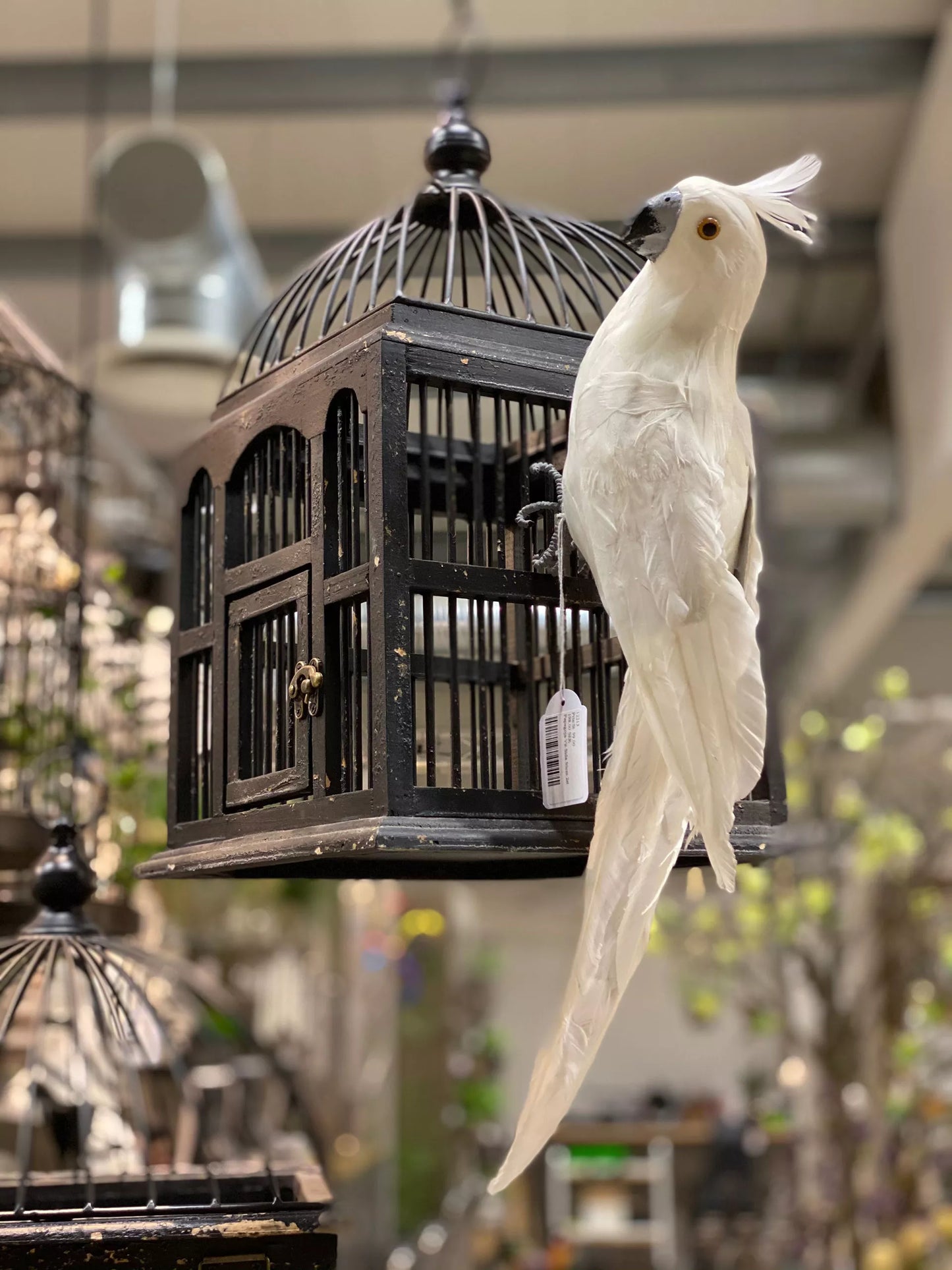 Dekoration Fågeldekoration Papegoja Vit Sida 50cm