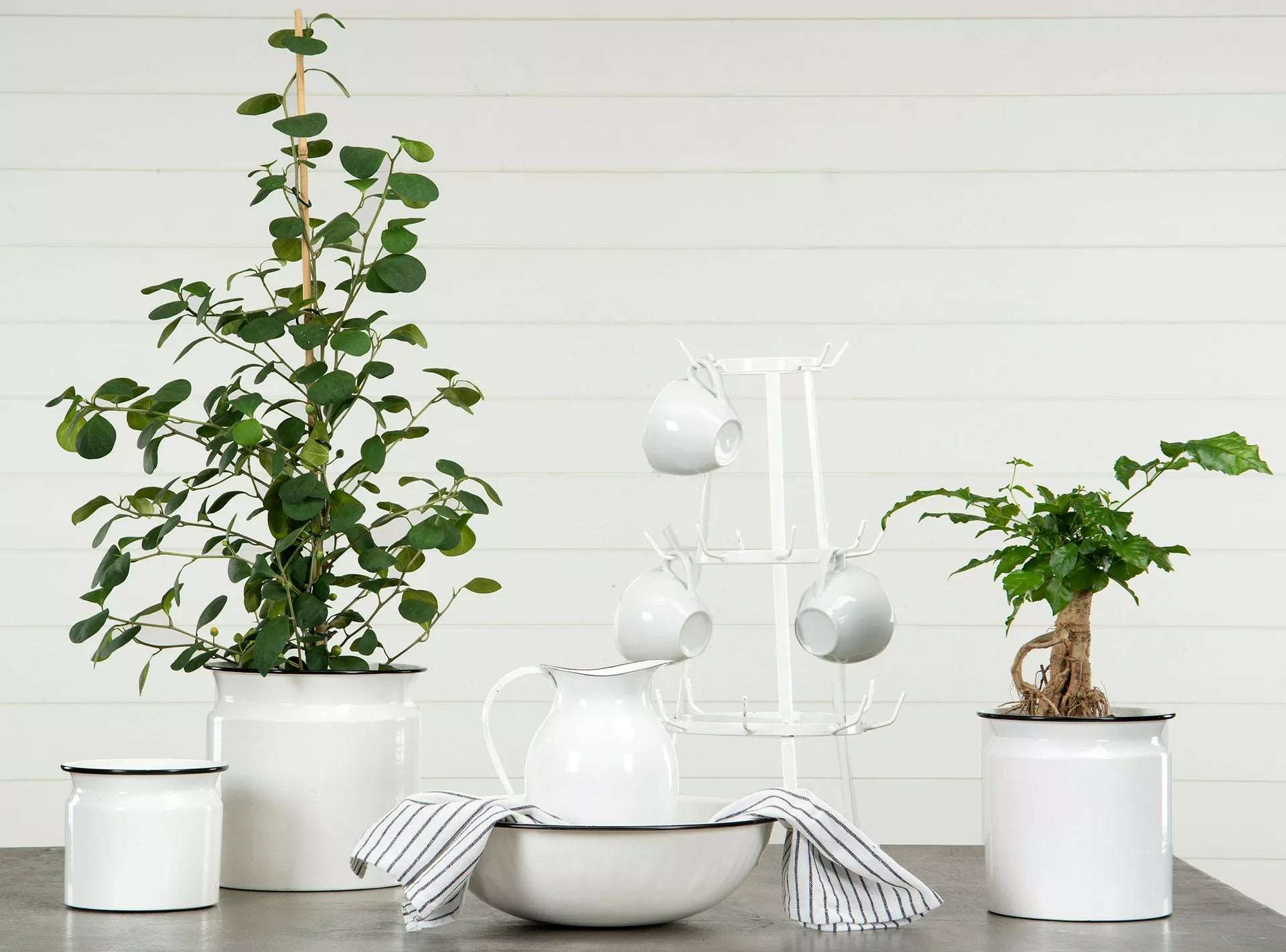 Redskapställ Kopphållare 54 cm vit