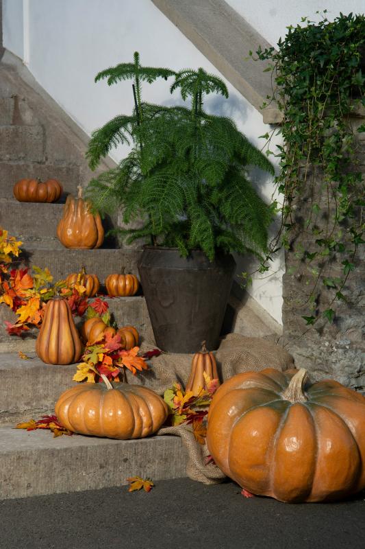 Dekoration Pumpa Orange.Nat Avlång Poly 18,5x16,5x24,5cm