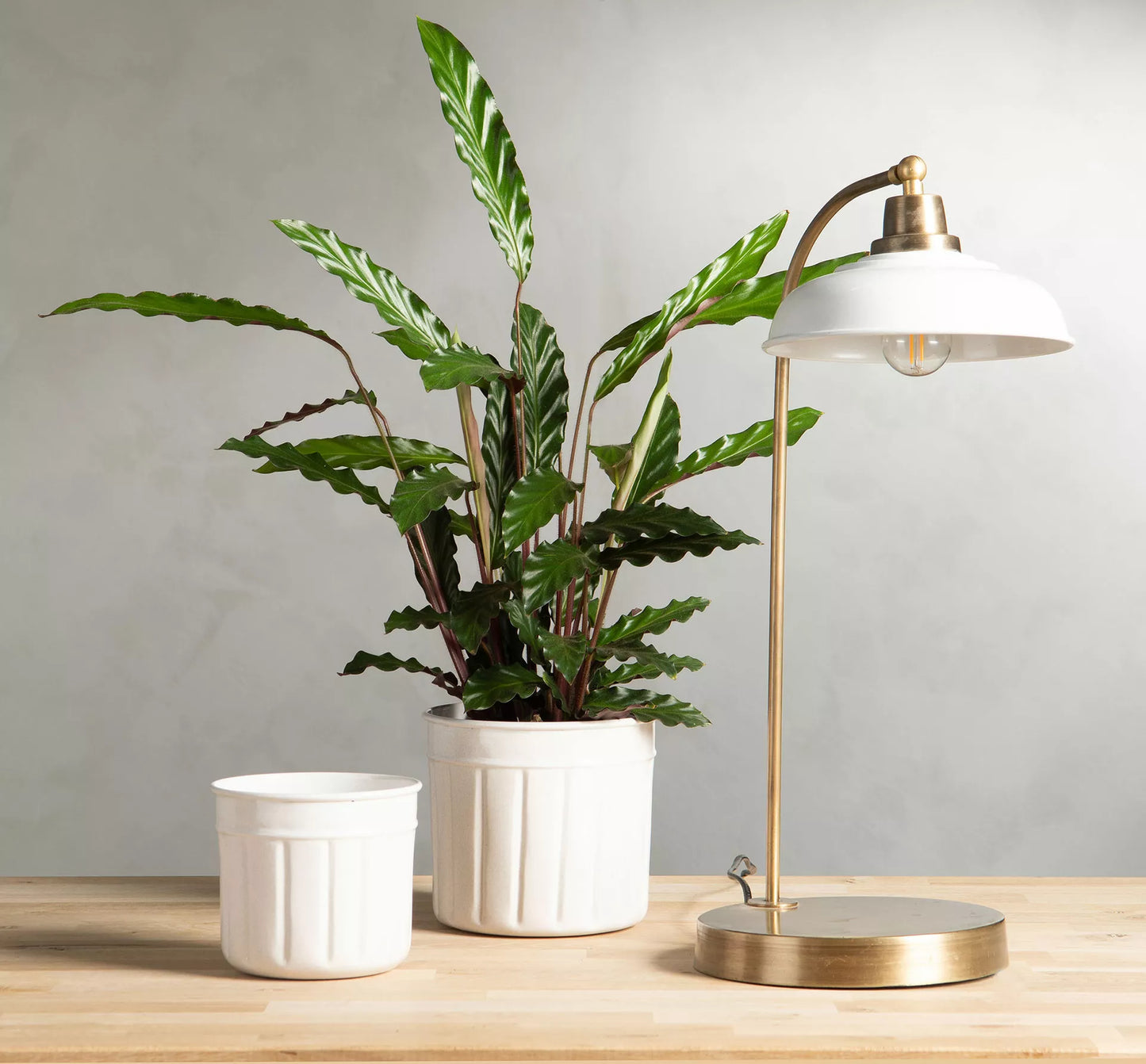 Bordslampa Noa Emalj Shell 30x52cm