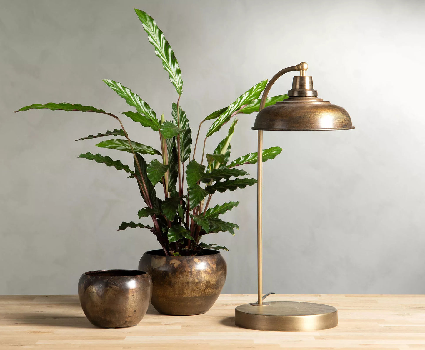 Bordslampa Noa Brun Ant. 30x52cm