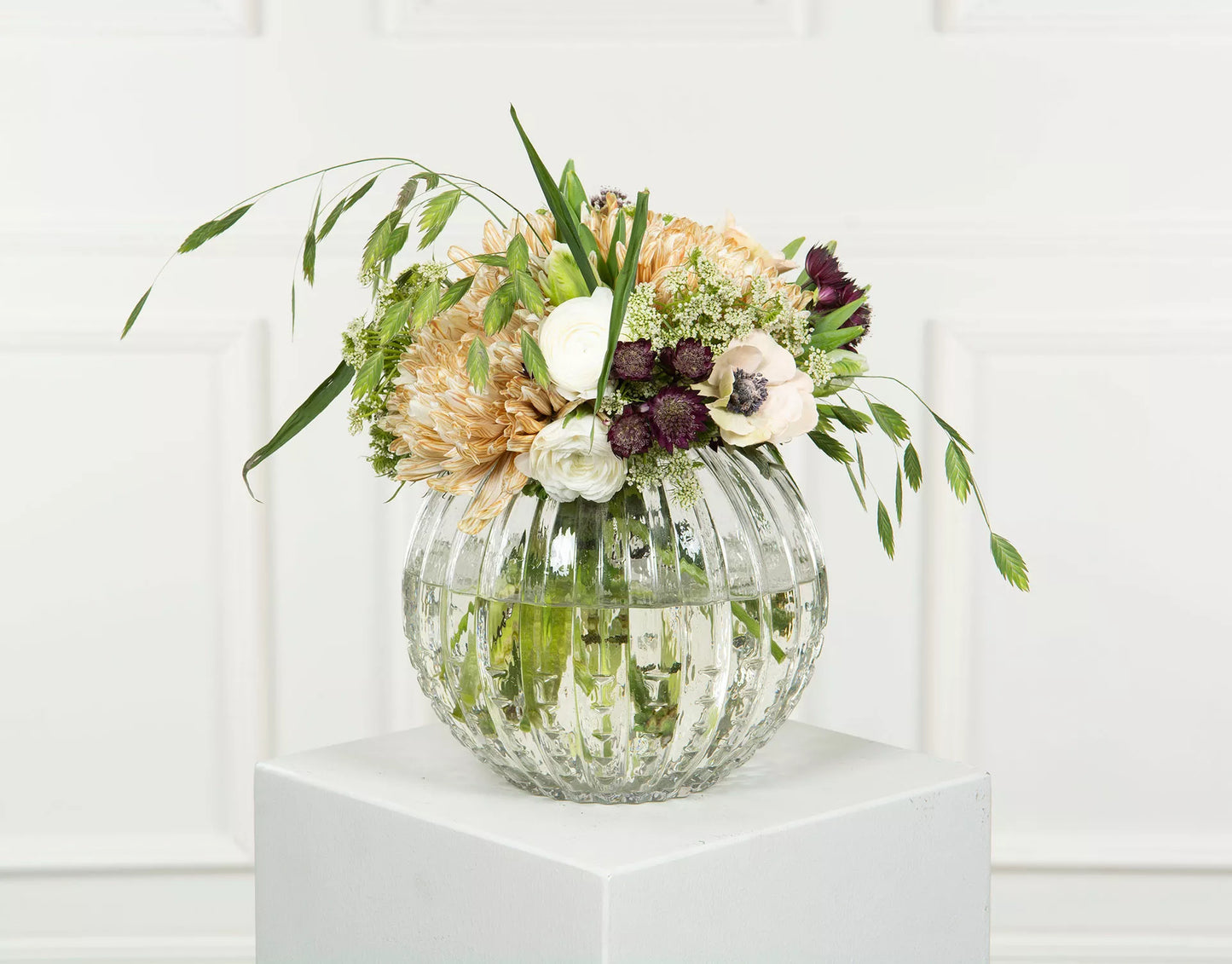 Dekorativ Vas Glas Allium Klar Ø20x10x18cm