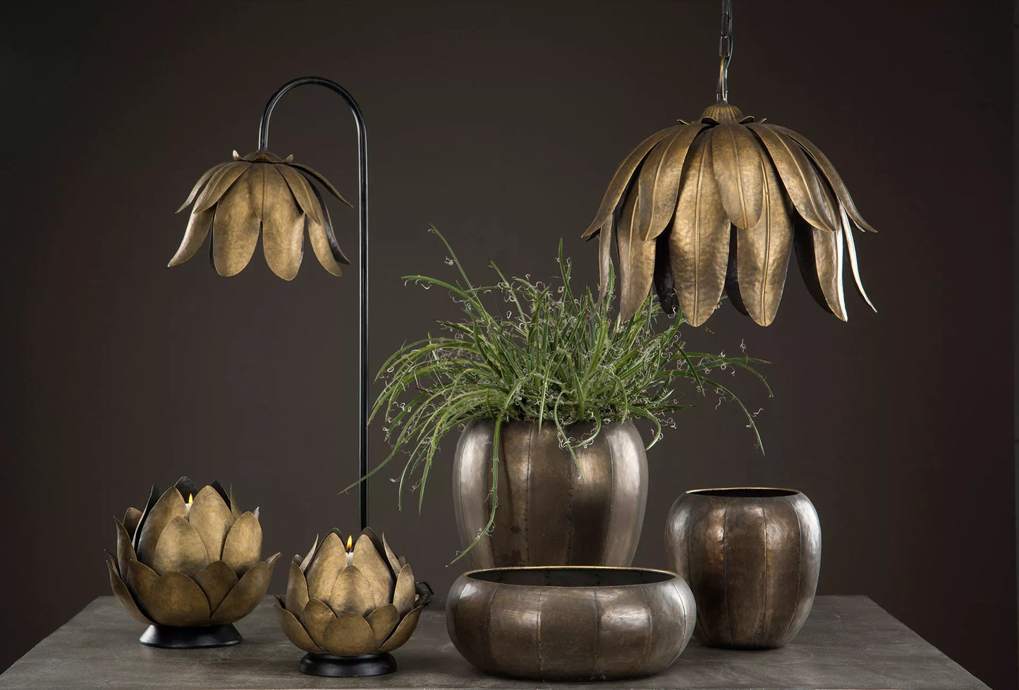 Bordslampa Näckros Svart/Mässing