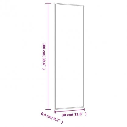 1 VidaXL Vggspegel 30x100 cm glas rektangulr