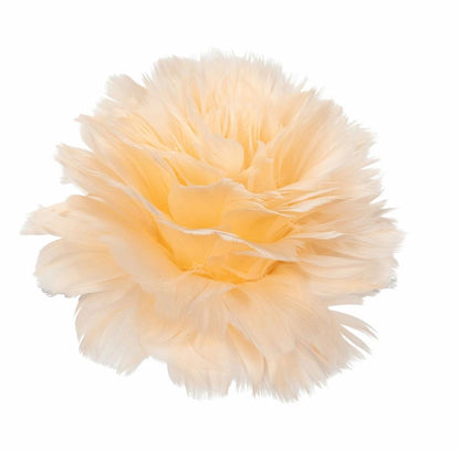 Dekoration Fjäderblomma Med Clip Aprikos 6-pack Ø11 cm