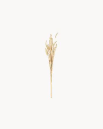 Konstgjord växt 6-pack Kaninsvansgräs Beige 75 cm
