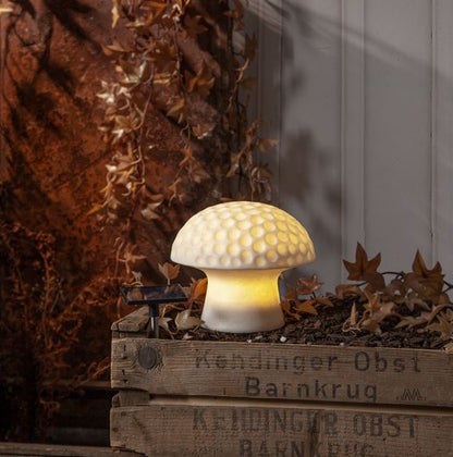 Trädgårdsbelysning DIV. Soldriven Svamp 19 cm