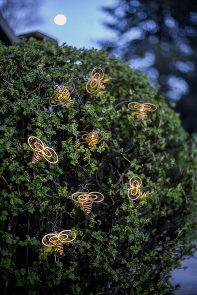 Trädgårdsbelysning DIV. Soldriven ljusslinga Wings