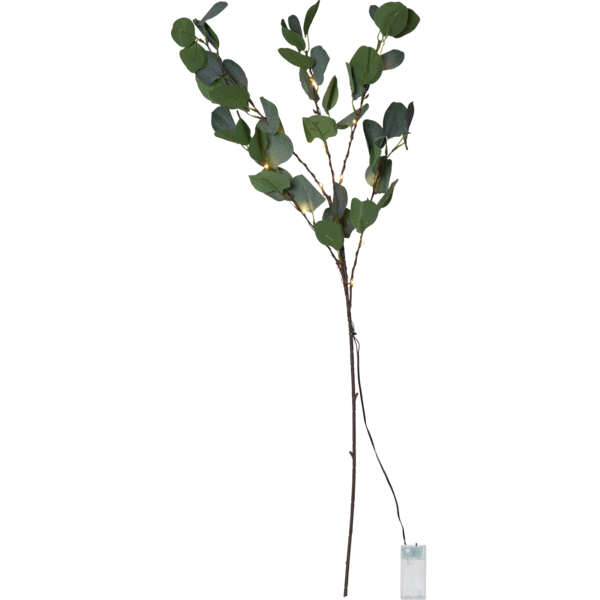 Belysning jul kvist Eucalyptus 90 cm