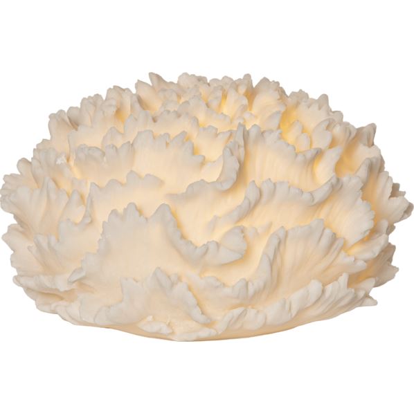 Div. belysning Coral 28,5 cm