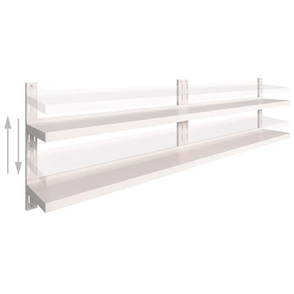 Vägghylla DIV. Svävande Flytande 2 plan 2 st rostfritt stål 300x30 cm