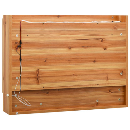 Badrumsspegel Spegelskåp LED Ek 80x15x60 cm