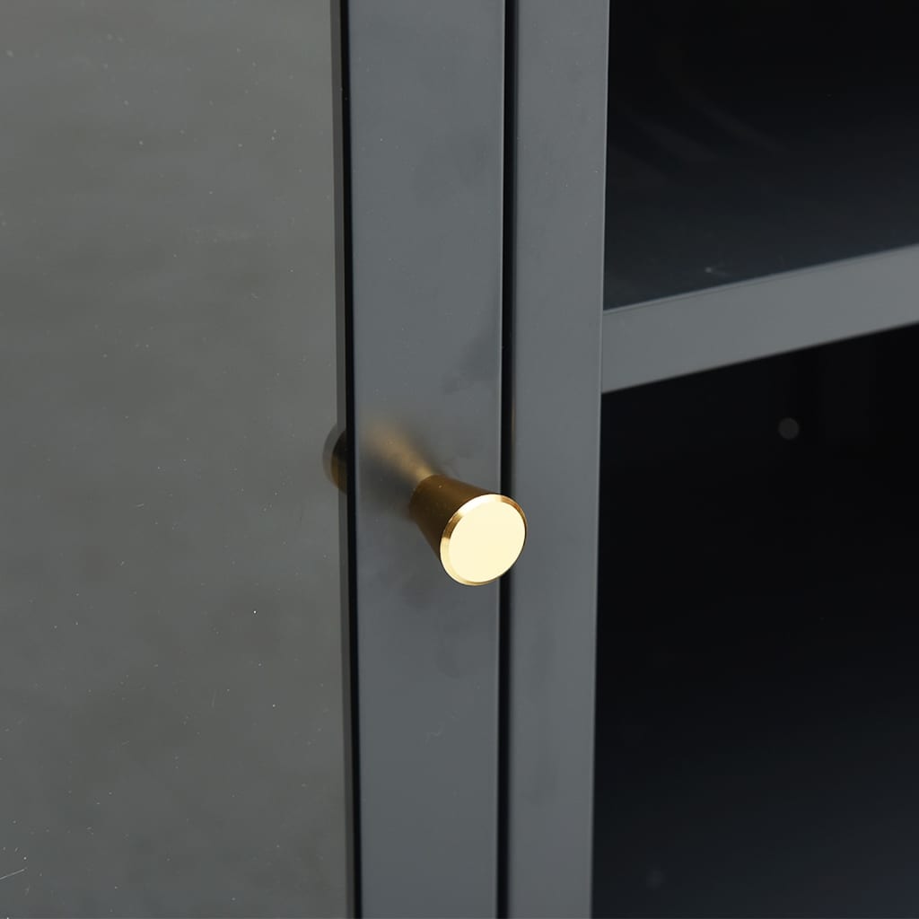 TV-Möbel DIV. TV-Bänk antracit 105x35x52 cm stål och glas