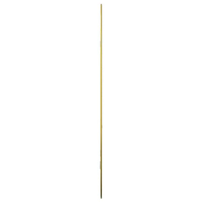 Väggspegel guld 80x50 cm