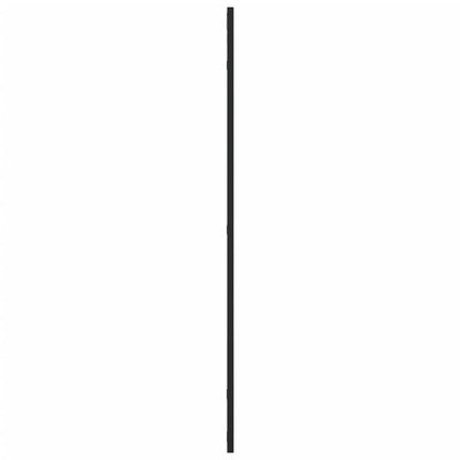 Väggspegel Svart 50x100 cm rektangulär järn