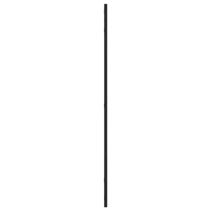 Väggspegel Svart 60x100 cm rektangulär järn