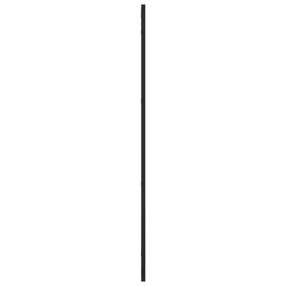 Väggspegel Svart 50x100 cm rektangulär järn