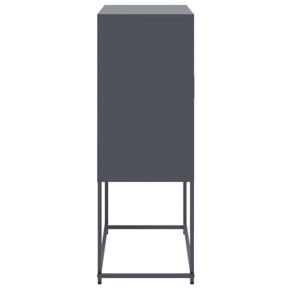 Skåp DIV. antracit 68,5x38,5x107 cm stål