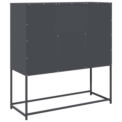 Skåp DIV. antracit 100,5x39x107 cm kallvalsat stål