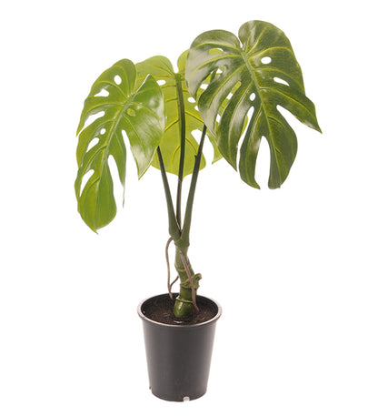 Konstgjord växt Monstera planta 60 cm