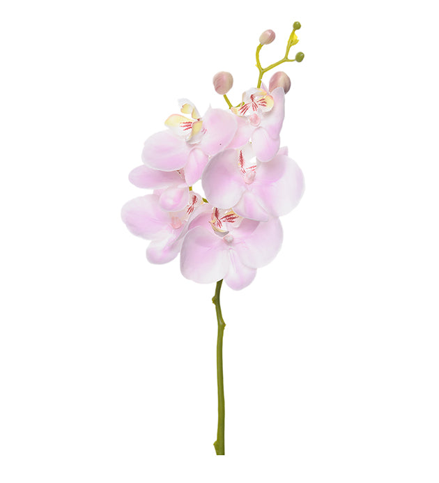 Konstgjord växt Orkidéstjälk Phalaenopsis 52 cm