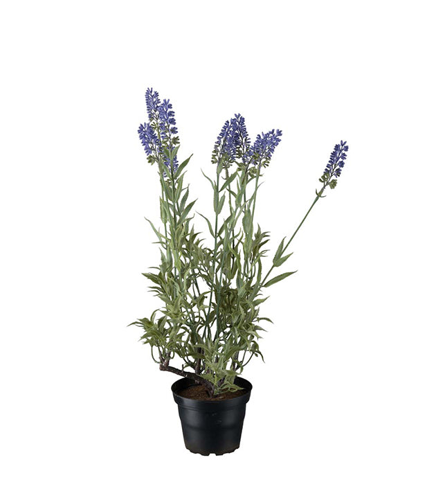 Konstgjord växt Lavendel 45 cm