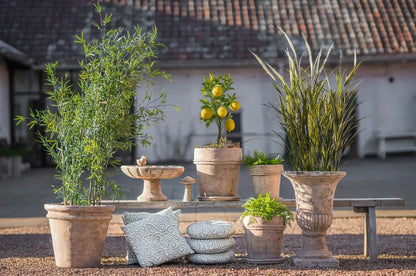 Blomkruka Med Fat Fortuna Ø30x24,5x33cm